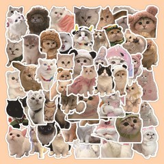 걸스코코 63장세트 고양이 스티커 노트북 캐리어 귀여운 조각스티커 PVC 스티커팩, 혼합색상