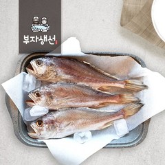 반건조 침조기 반찬용 5마리 30~34cm (망미중앙시장 부자생선), 침조기30~32cm 5마리