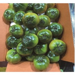 프리미엄 당일수확 산지직송 부산 대저 짭짤이 토마토 2.5kg 과일 짭짜리 2S사이즈, 2.5kg(2L, 중품), 1개