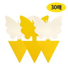 영진팜 나비끈끈이 트랩 30매, 30개, 30개
