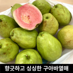 [국산] 유기농 국산 구아바 열매 1kg (완숙 비완숙 선택) 신비한 열대과일 부드러운 과육 고당도 생 구아바 국내산 핑크 흰색 생과 열대과일 핑크구아바 초록구아바 구아바과일, 비완숙(단단한)1kg, 1개