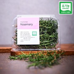[여화원]국내산 유기농 로즈마리 데코용 카페용 허브 생잎 50g, 1개