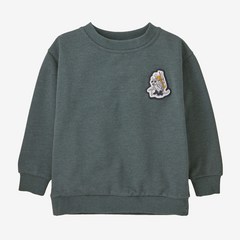 (파타고니아 100%정품) patagonia 베이비 라이트웨이트 크루 스웨트셔츠 키즈 아동 맨투맨 티셔츠 Fun Hogs Armadillo: Nouveau Green