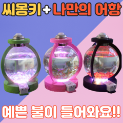 디디시 씨몽키 바다새우 키우기 세트, 2개