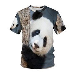 판다셔츠 푸바오 핫 남성 티셔츠 귀여운 자이언트 팬더 3 프린트 패턴 스트리트 캐주얼 셔츠