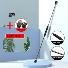 플렉시바 자이로스윙 진동운동 전신운동기구, 블랙 32.8Hz, 1개