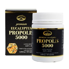 Natures Top EUCALYPTUS PROPOLIS 네이쳐스탑 호주 프리미엄 유칼립투스 프로폴리스 5000mg 120캡슐, 1개, 120정
