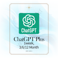 Chat GPT Plus 1개월 구독 구매대행