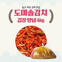 eTV 도미솔김치 중부식 김장 양념 4kg, 1