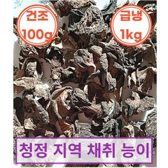 자연산 능이버섯 건조 100g 냉동 1kg 삼계탕 백숙용 건능이 냉동능이 수입산 Mushroom, 건조 C급 100g, 1개