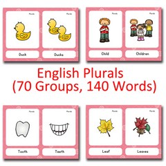 9 Groups 영어 문법 몬테소리 영어 단어 포켓 플래시 카드 영어 교육용 장난감을 배우는 아이들, English Plurals