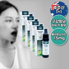 네이쳐스탑 프로폴리스 스프레이 호주 뿌리는 프로폴리스 고함량 35ml, 4개