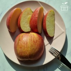 미니즈웰빙 사과 꿀사과 부사 경북사과, 15.(정품) 중과(로얄) 3kg, 1개
