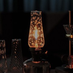 Lumiere Coleman 콜맨 이소가스 램프 전등 갓 루미에르 인디고 가스램프 커버, 02.B