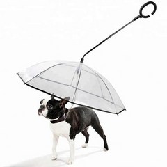 강아지 애견 산책 용품 투명 우산 비 레인 반려견 운동, 강아지우산