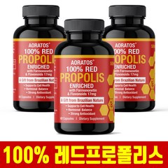 브라질 레드 프로폴리스 100% 가루 캡슐 2+1 플라보노이드 효능 추천 직구 미국 식약처, 3개, 60캡슐, 60개