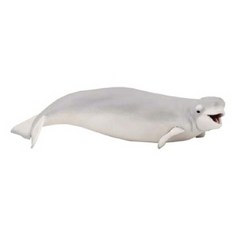 TWKL 모형완구 벨루가 흰돌고래