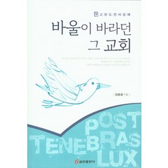 바울이 바라던 그 교회:고린도전서강해, 쿰란출판사