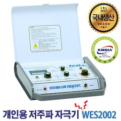 대경 개인용 저주파 자극기 가정용 물리치료기 통증완화 1년무상AS, 1개, WES2002(TENSE)