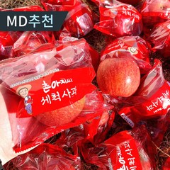 [당도선별] 껍질째 먹는 세척사과 햇 부사 경북 꿀 사과, 1박스, 3kg 한입소과(16-20과)