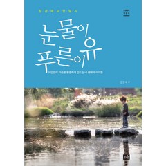 눈물이 푸른 이유:정경애 교단일지 | 어김없이 가슴을 뭉클하게 만드는 내 생애의 아이들, 작은숲, 정경애