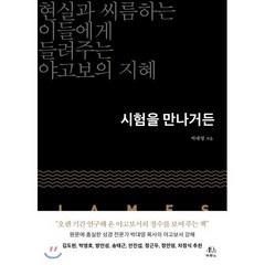 시험을 만나거든:현실과 씨름하는 이들에게 들려주는 야고보의 지혜, 두란노서원, 9788953138582, 박대영 저