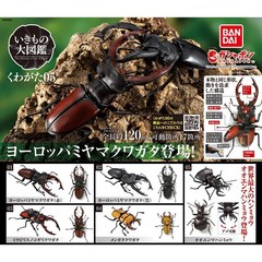 반다이 생물 곤충도감 장수풍뎅이 사슴벌레 5종 가챠 풀 세트 피규어 장난감 일본직배, 기본