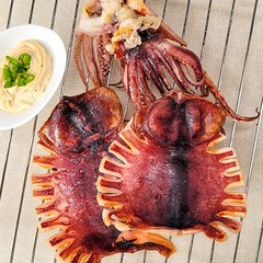 강영수산 반건조오징어 (특대)10미(1.8kg내외), 단품