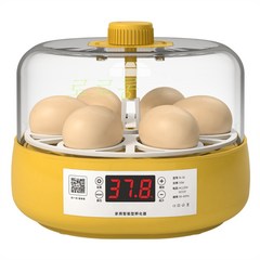 달걀 오리 거위 알 부화기 계란 미니 가정용 병아리부화기 병아리 키우기 Wstug 증정, 2번