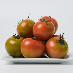 [산지직송]짭짤이 대저 농협 인증 특품 토마토 2.5kg, 1개