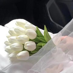 샤오칭의 증인 부케의 결혼 약혼 사진 촬영 만천성 장미 꽃다발 핸드메이드, 15수 화이트 튤립