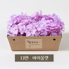화연양화 블루밍 수국 박스수국 컬러최다 30색! 프리저브드플라워, 13 바이올렛