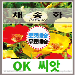 [OK씨앗] [채송화] 채송화씨앗 종자(오케이씨앗), 1g