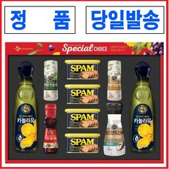 CJ제일제당 스팸 특별한선택 2호 + 쇼핑백, 1세트