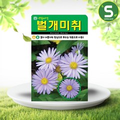 솔림텃밭몰 벌개미취씨앗 500립 벌개미취 꽃씨앗 꽃씨 야생화, 1개