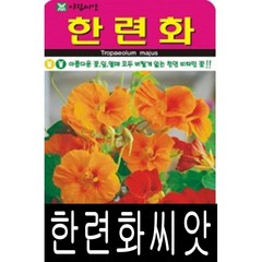 [워터트리몰] 한련화씨앗(20립) 채소 꽃 종자 재배 씨앗 허브 나무 (A), 1개