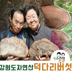 자연산 덕다리 버섯 잔나비 걸상 국산 강원도 1kg, 1개