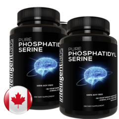 포스파티딜세린 효능 뇌건강 집중력 향상 종합비타민 2병 90정 캐나다산, 90캡슐
