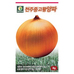 공심채씨앗