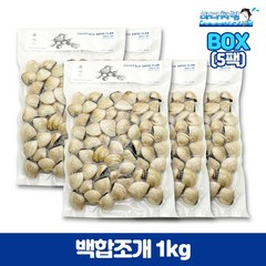 냉동 백합조개 1kg 5봉 4/60 베트남산 백합, 5개
