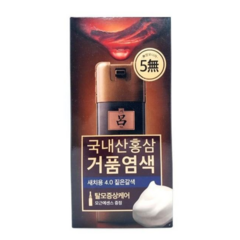 려 진결모 한방거품 새치염색 국내산 홍삼 거품 염색 40g, 1개, 4.0 짙은갈색