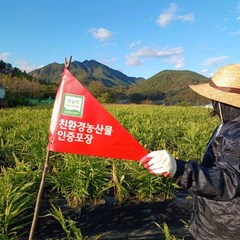 국산 친환경 무농약 햇 흙 새척 생강 3kg 예약판매, 흙생강, 1개