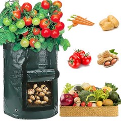 3 크기 식물 성장 가방 홈 정원 감자 성장 가방 야채 성장 가방 모이 스처 라이징 세로 가방 정원 온실 도구, 이탈리아, green