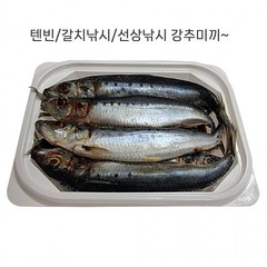 153무역 텐빈/갈치낚시/선상낚시 강추 미끼 정어리, 1개