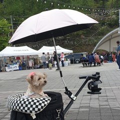고퀄리티 강아지 애견 유모차 유모차 햇빛가리개 우산 양산, 85cm, 그레이