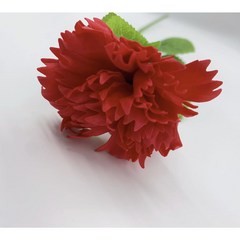 매이노 장미 DIY 다양한 향기 꽃다발 5송이+ 포장 소재, 레드 카네이션레드