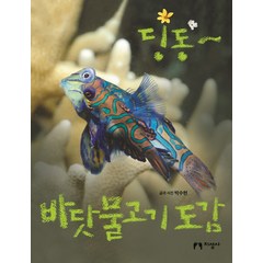 딩동~ 바닷물고기 도감, 지성사