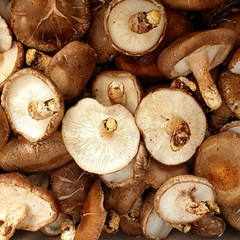 국내산 알뜰형 표고버섯 2kg, 없음, 1개
