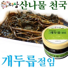 팔도보부상 개두릅(엄나무순) 절임 500g, 1개