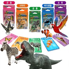 에듀알 증강현실 체험카드 50장 공룡 동물